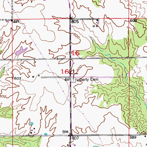 Topographic Map of Liberty School, MO