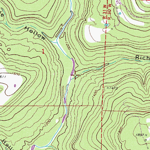 Topographic Map of Rich Hollow, AR