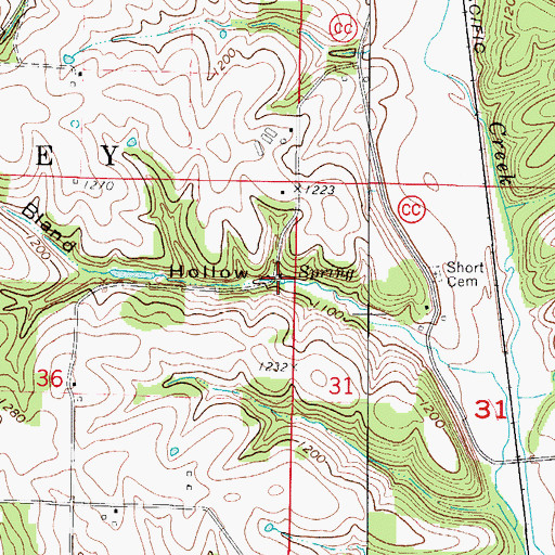 Topographic Map of Bland Spring, MO