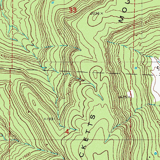 Topographic Map of Ricketts Mountain, AR
