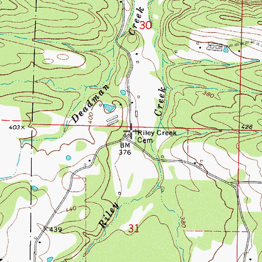 Topographic Map of Riley Creek Cemetery, AR