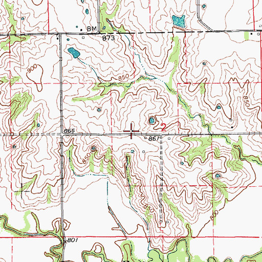 Topographic Map of Old Buzzard School (historical), MO