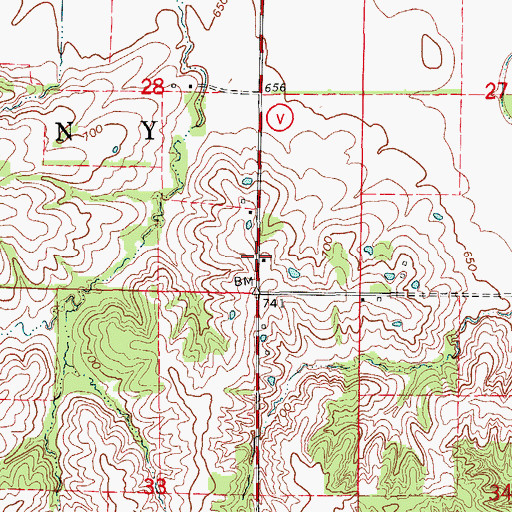 Topographic Map of Brushey School (historical), MO