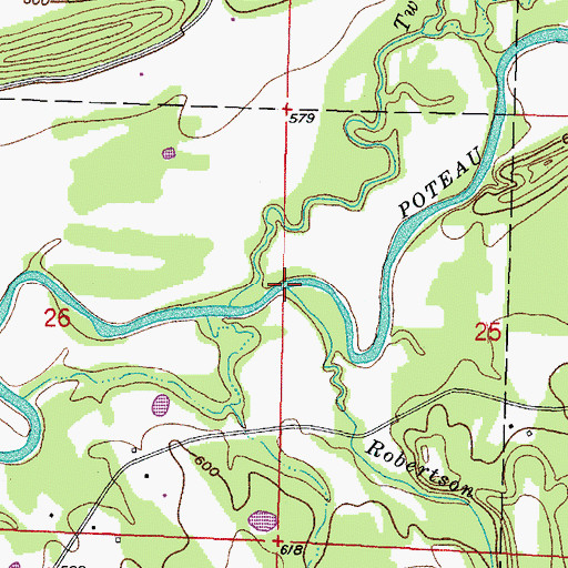 Topographic Map of Robertson Branch, AR
