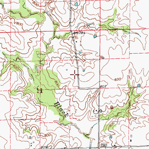 Topographic Map of McWilliams School, MO