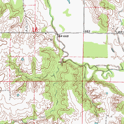 Topographic Map of Board Branch, MO