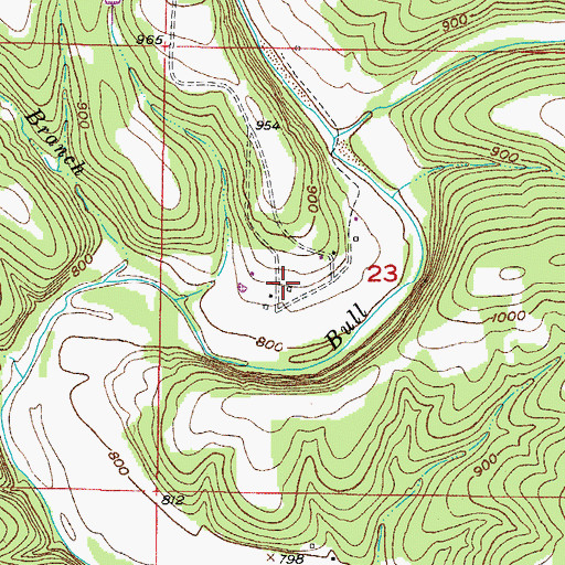 Topographic Map of Pleasant Shade School (historical), MO