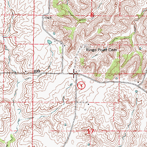 Topographic Map of Ringo Point, MO