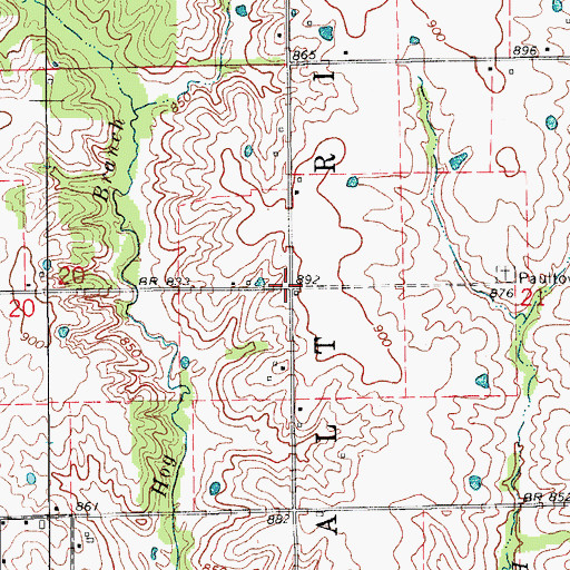 Topographic Map of Paultown, MO