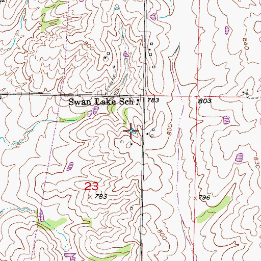 Topographic Map of Swan Lake, MO