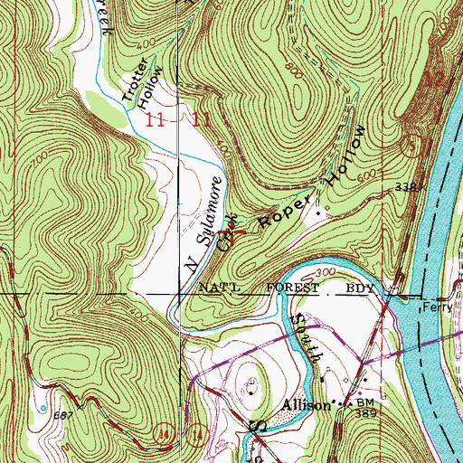 Topographic Map of Roper Hollow, AR