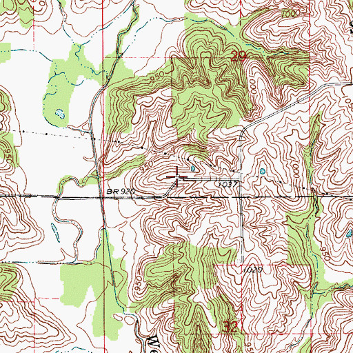 Topographic Map of Pearson School (historical), MO