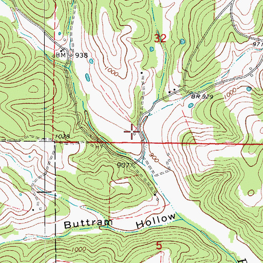 Topographic Map of White Star School (historical), MO
