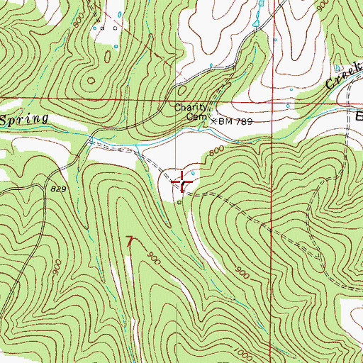 Topographic Map of Charity School (historical), MO