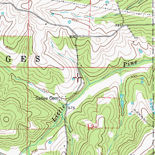 Topographic Map of Sallee School (historical), MO