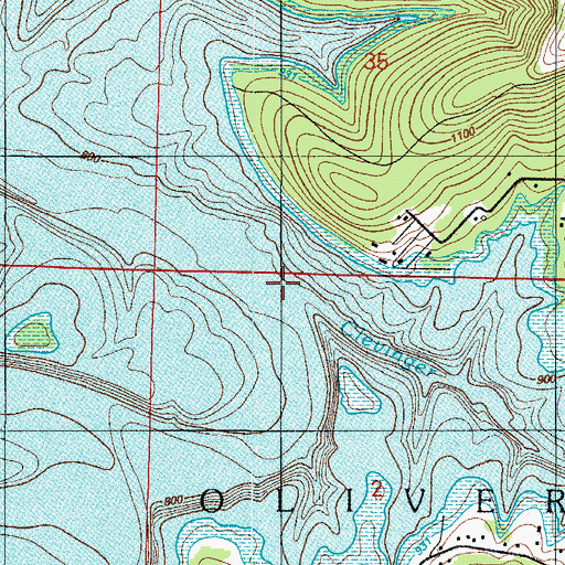Topographic Map of Clevinger Hollow, MO
