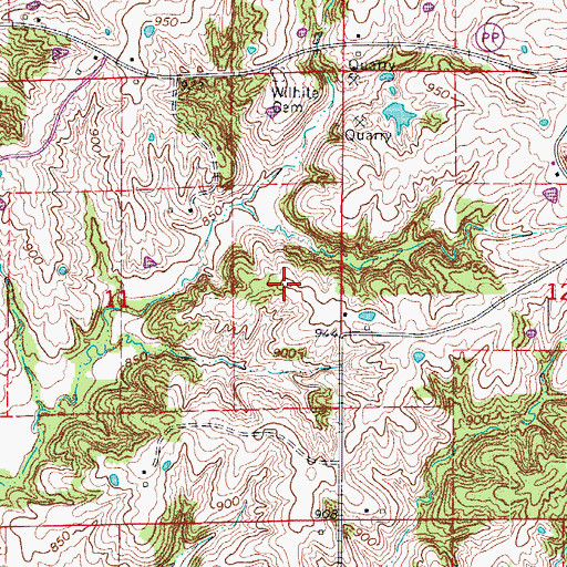 Topographic Map of Wilhite School (historical), MO