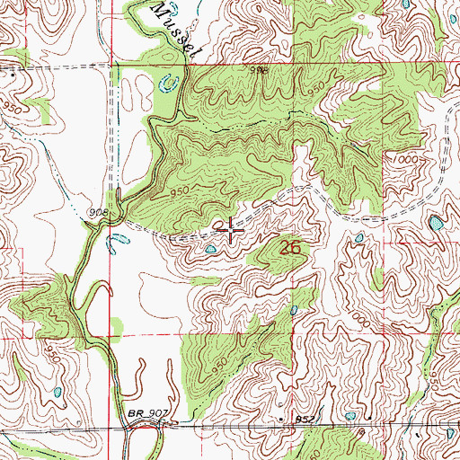 Topographic Map of Hickory Grove School (historical), MO