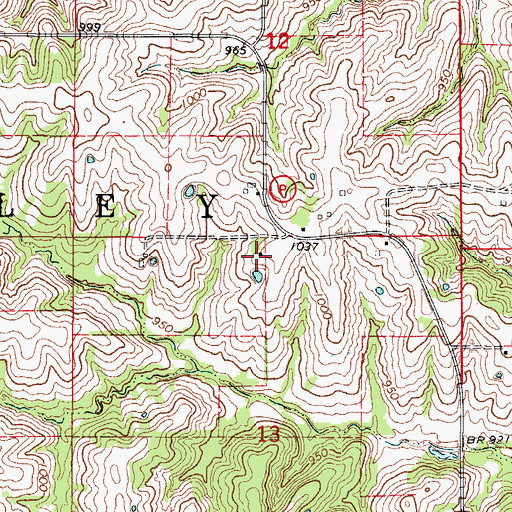 Topographic Map of Hickory Grove School (historical), MO