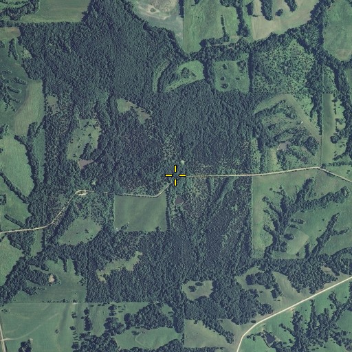 Aerial/Satellite Image of Hickory School (historical), MO