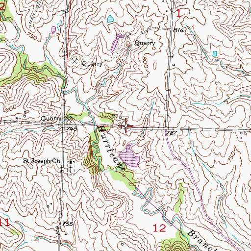 Topographic Map of Hurricane Branch School (historical), MO