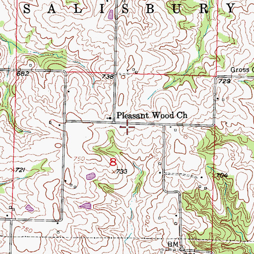 Topographic Map of Lee School (historical), MO