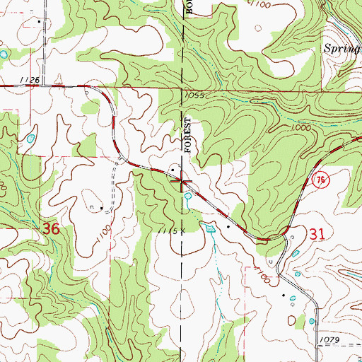 Topographic Map of Woods Store, MO