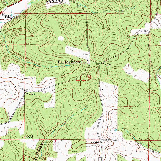 Topographic Map of Brushyknob School, MO