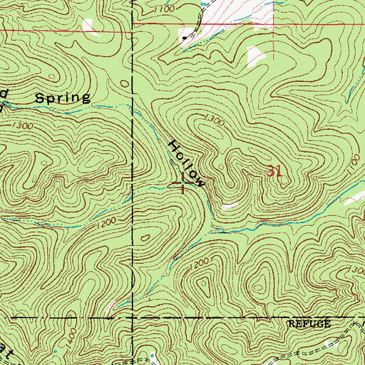 Topographic Map of Board Hollow, MO