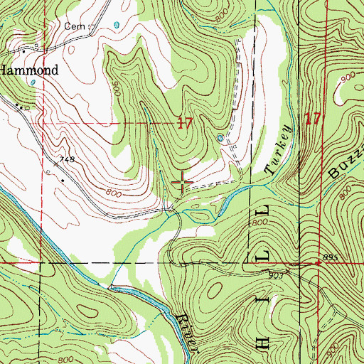 Topographic Map of Turkey Creek School (historical), MO