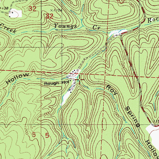 Topographic Map of Roy Spring Hollow, AR