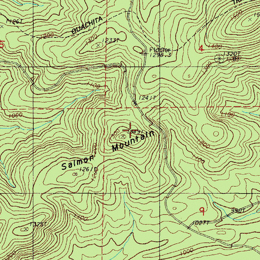 Topographic Map of Salmon Mountain, AR
