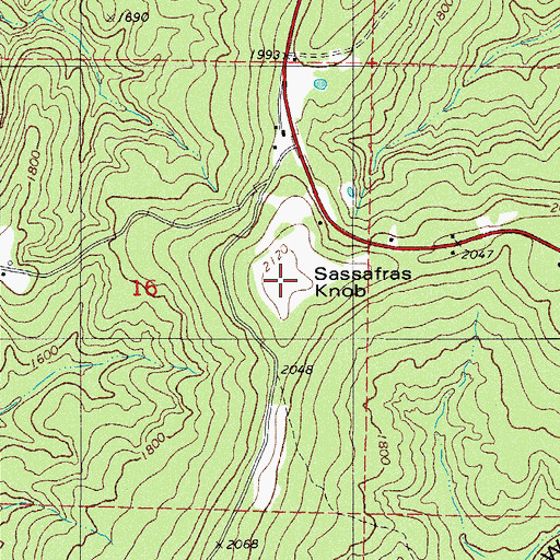 Topographic Map of Sassafras Knob, AR