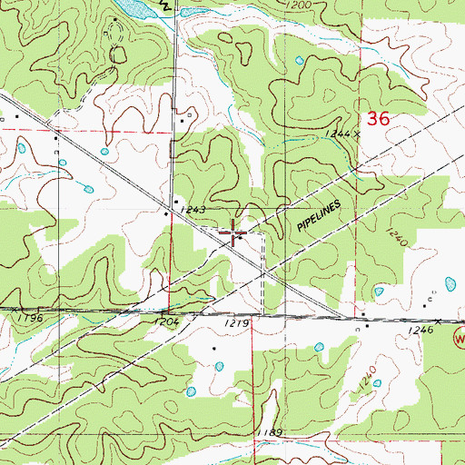 Topographic Map of Union Chapel (historical), MO