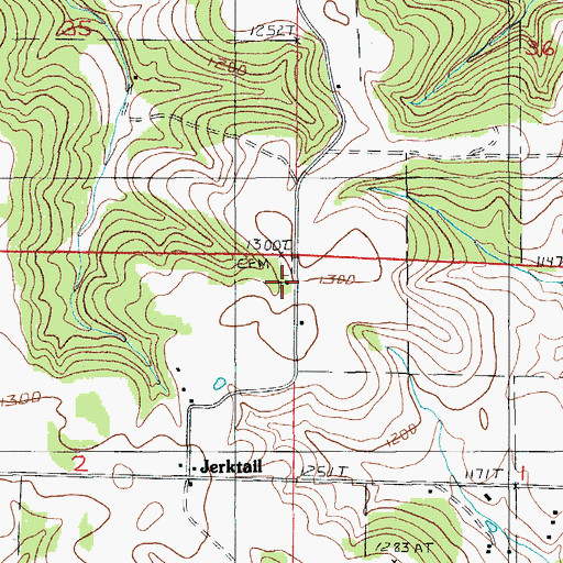 Topographic Map of New Home Church, MO
