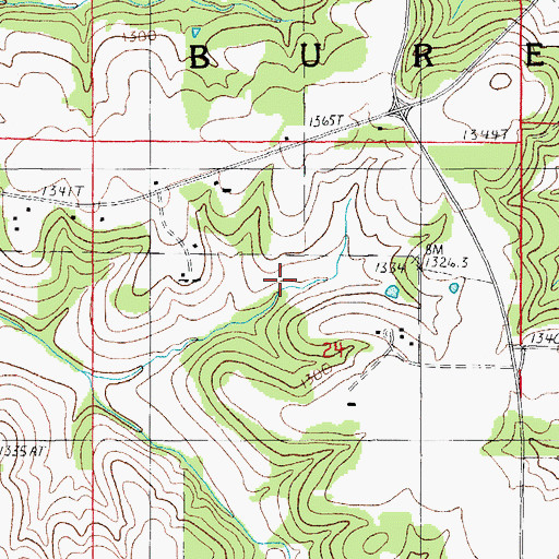 Topographic Map of Hopkins Church, MO