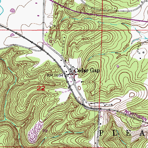 Topographic Map of Cedar Gap School (historical), MO