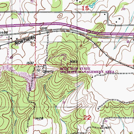 Topographic Map of Mary Gray Hill, MO