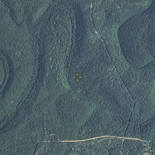 Aerial/Satellite Image of Brooks Ridge, MO