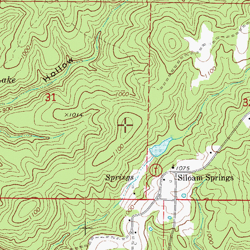 Topographic Map of Martin Hill, MO