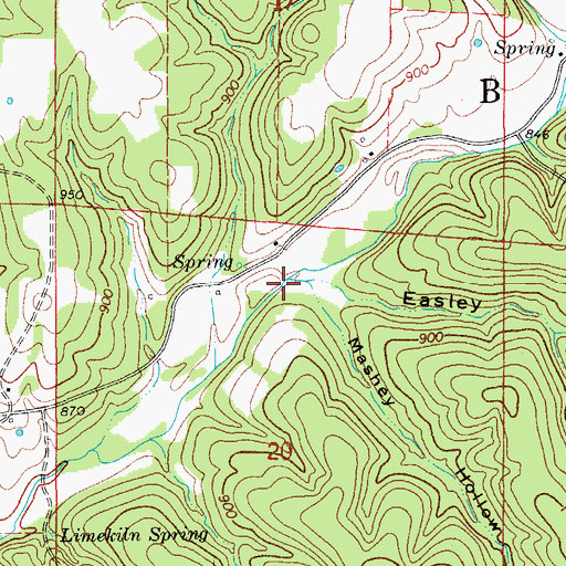 Topographic Map of Easley Branch, MO