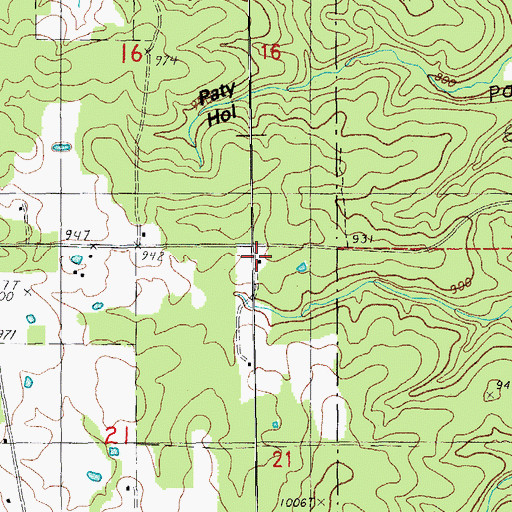 Topographic Map of Pine Hill School (historical), MO