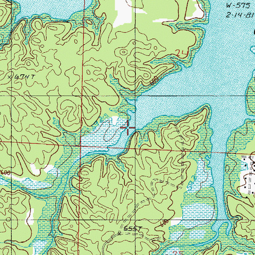 Topographic Map of Shady Creek, AR