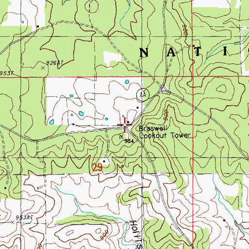 Topographic Map of Braswell, MO