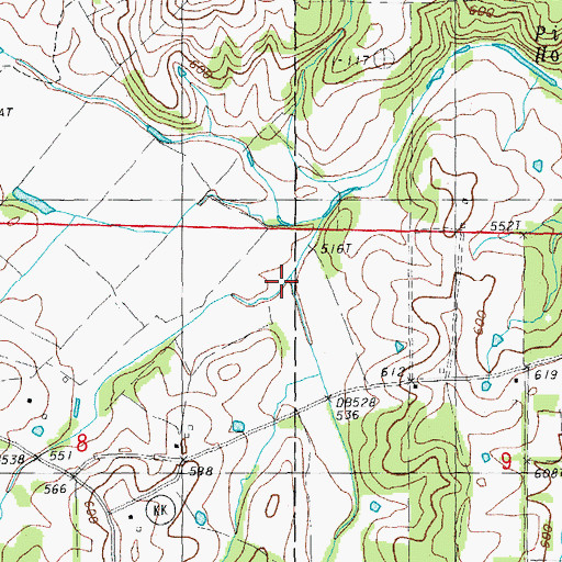 Topographic Map of Buckhorn Branch, MO