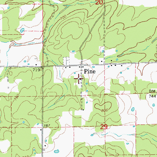 Topographic Map of Pine Grove Missionary Baptist Church, MO