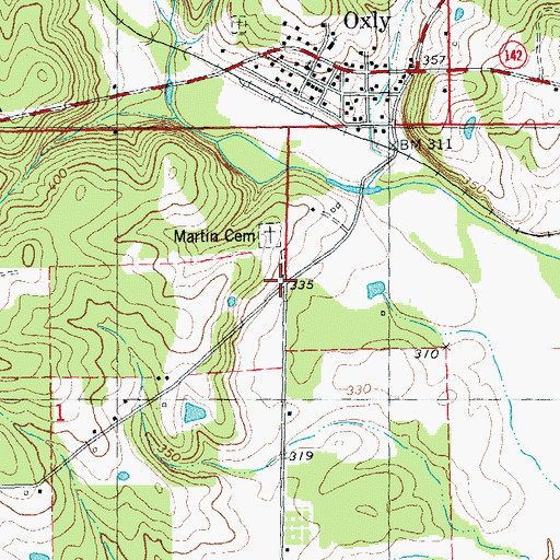 Topographic Map of Martinsburg (historical), MO