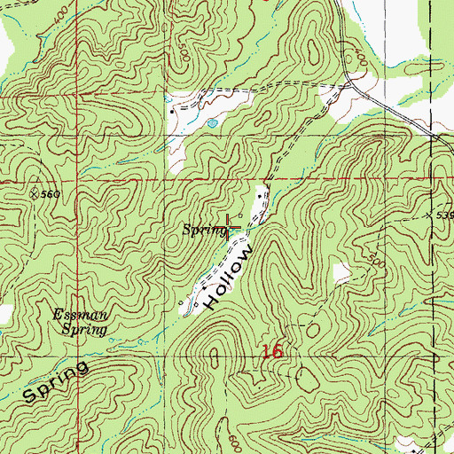 Topographic Map of Elder Spring, MO