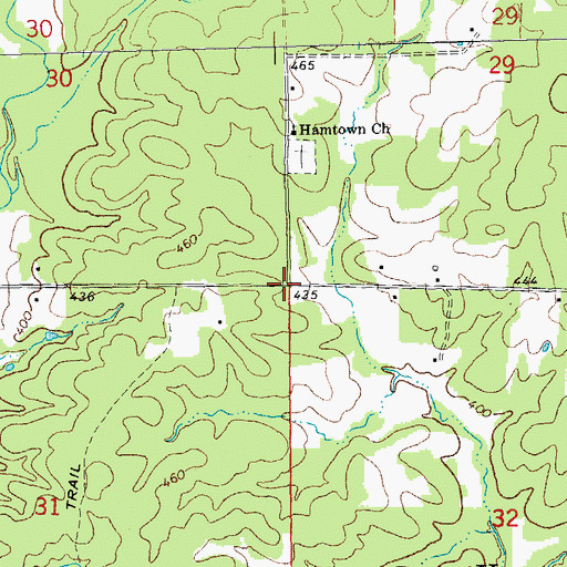 Topographic Map of Hamtown, MO