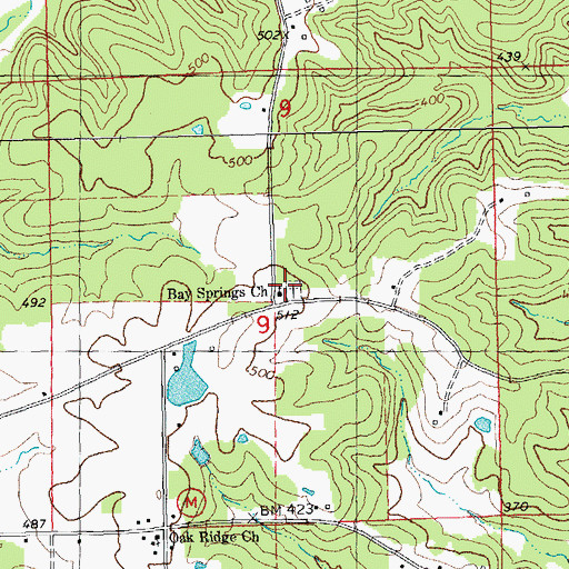 Topographic Map of Bay Springs Cemetery, MO